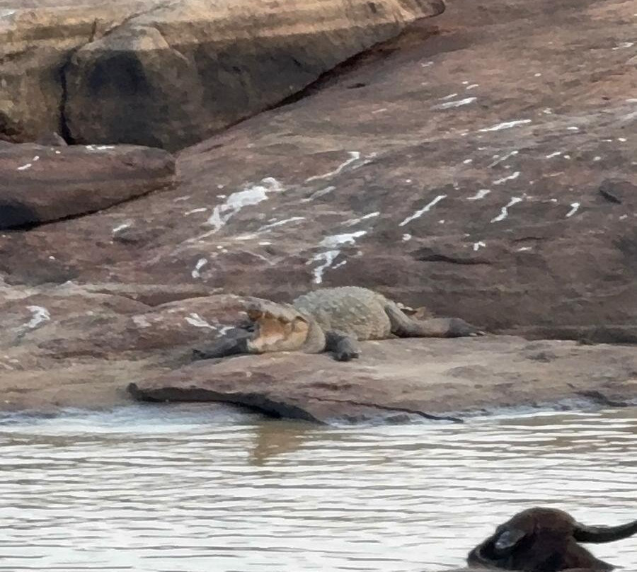 Ridiyagama Safari Park-Hambantota必去景点