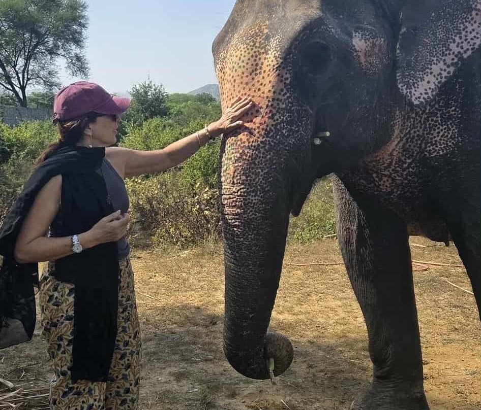 Elefanjoy Elephant Sanctuary-斋蒲尔必去景点