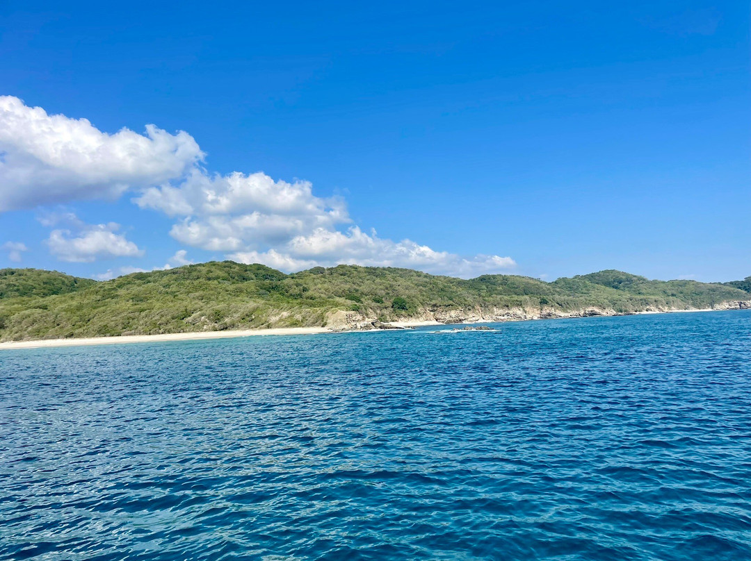 Ally Cat Sailing Adventures-利他必去景点