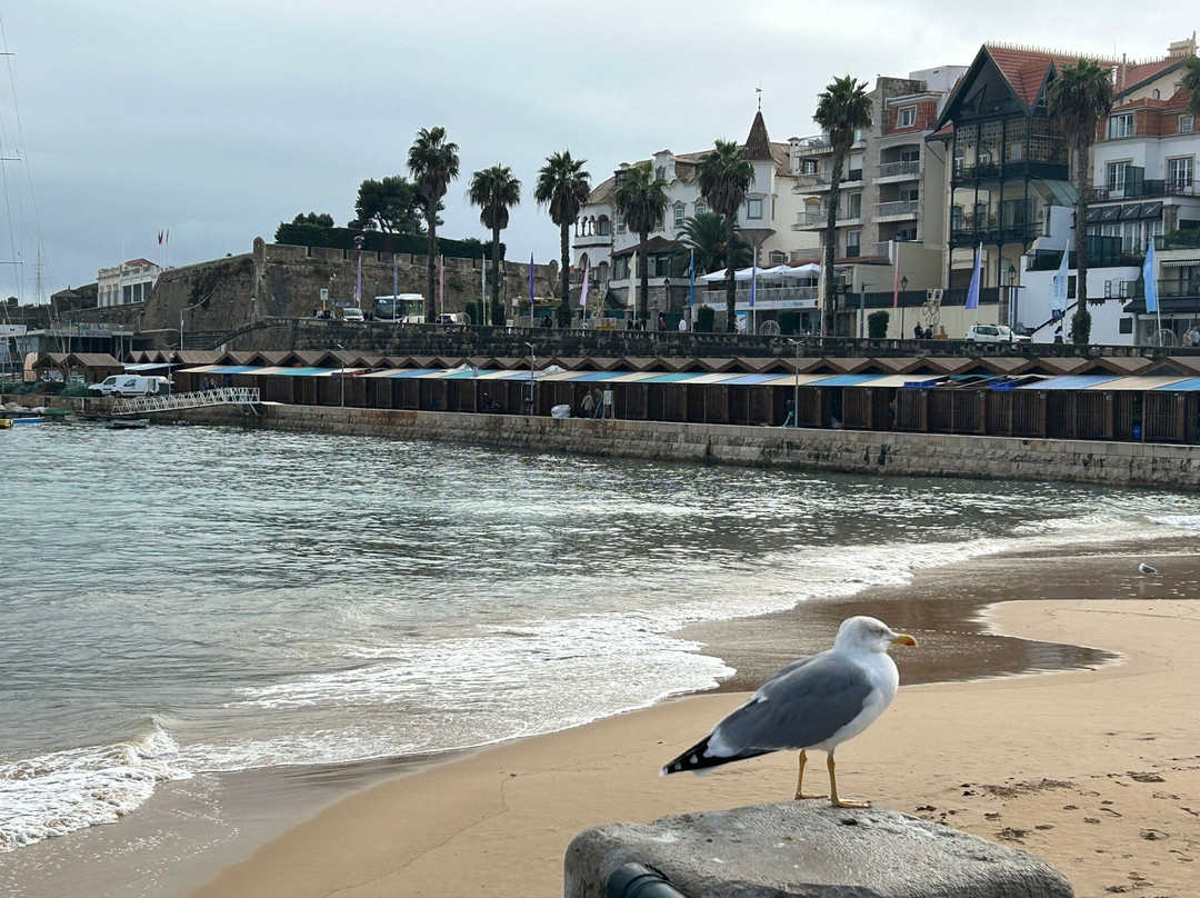 Lisbon on Wheels-里斯本必去景点