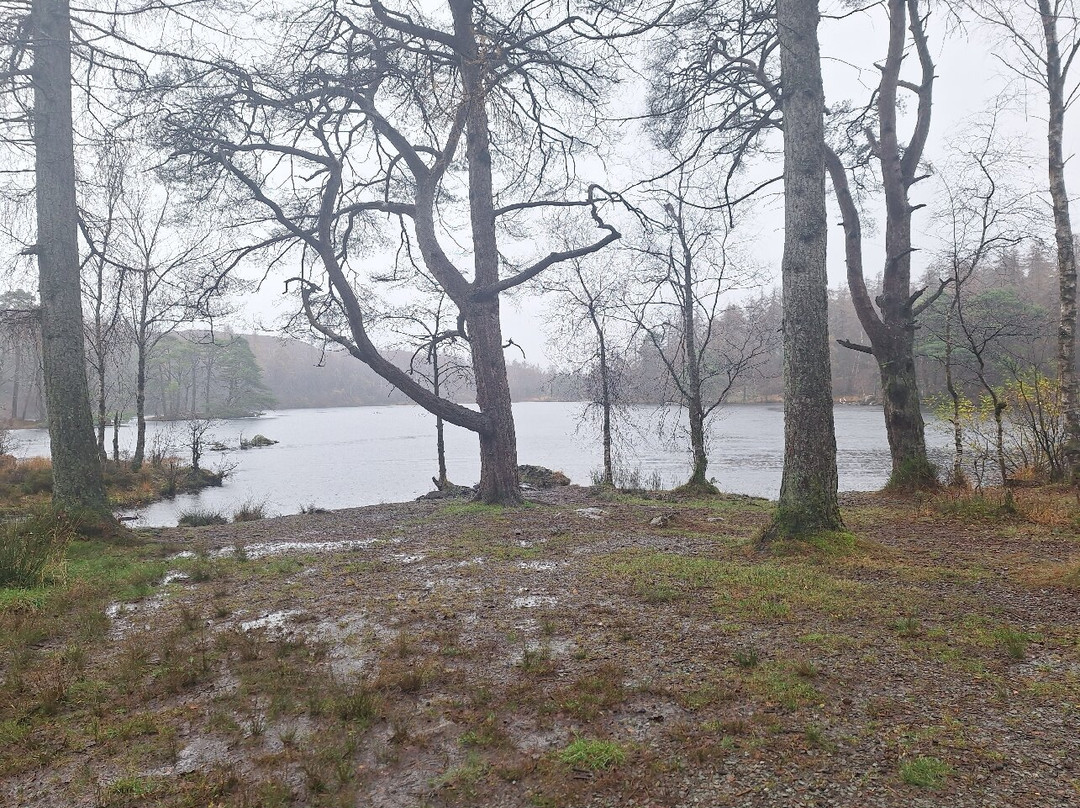 Low and High Dam, Finsthwaite