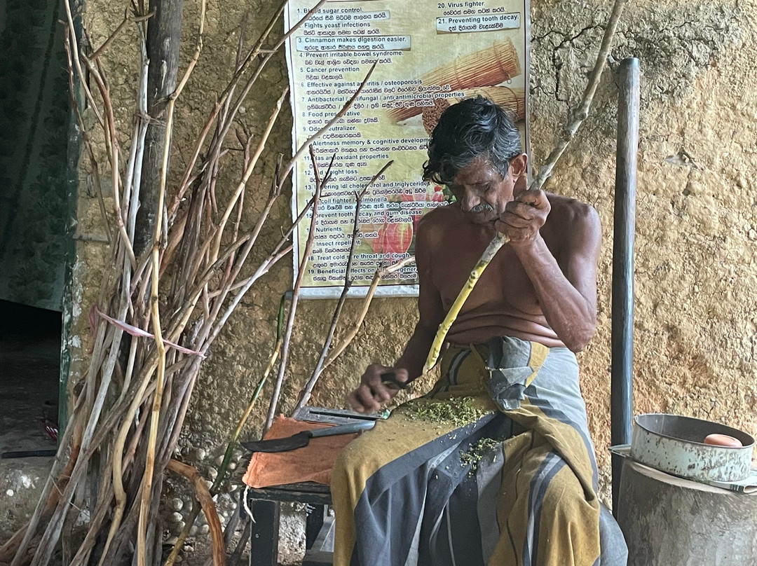 Ceylon Links Tours-Rathgama必去景点