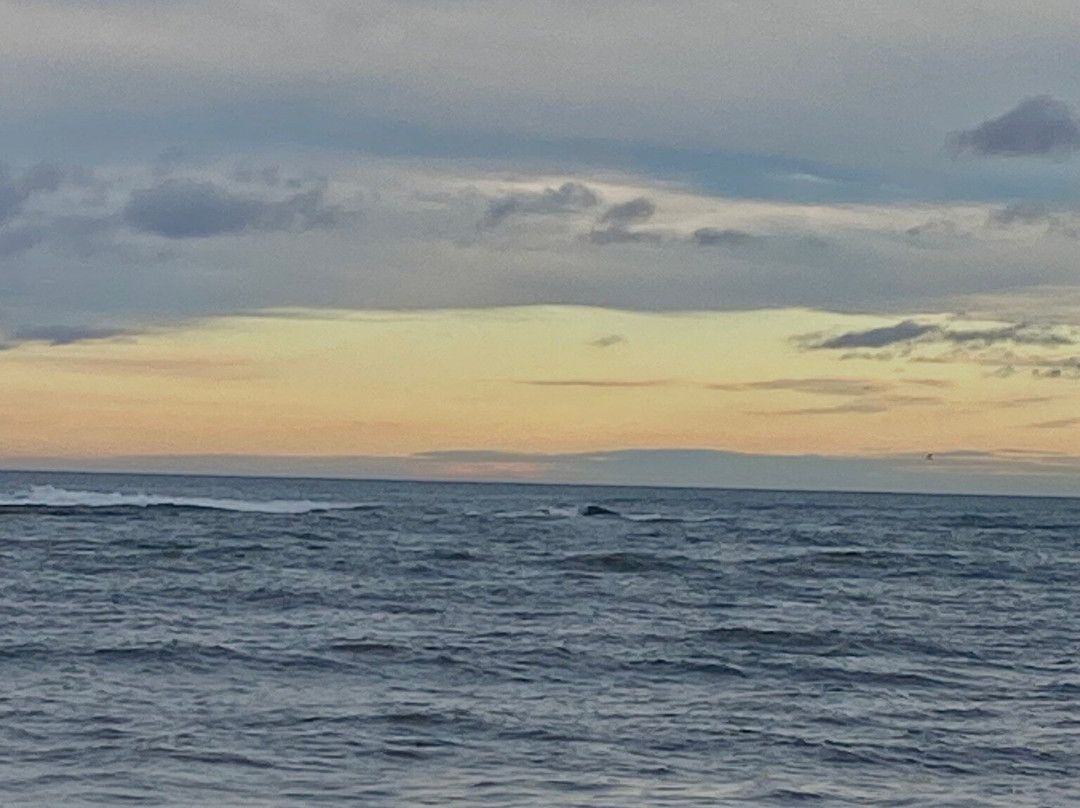 Beadnell Bay Beach-Beadnell必去景点