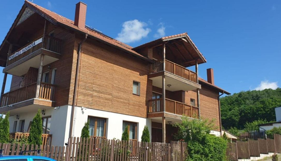 Casa Paduricea主图