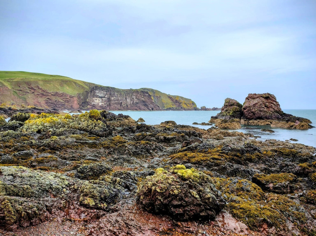 St Abbs Head National Nature Reserve-St Abbs必去景点