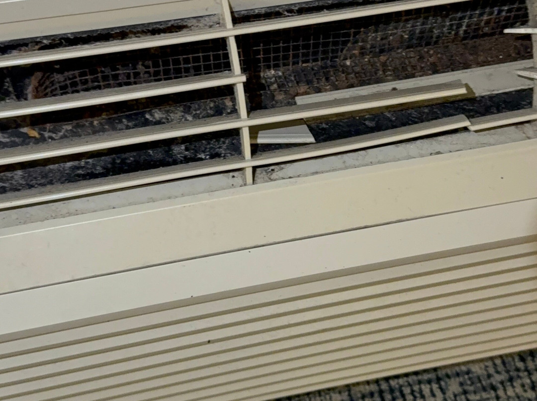 Wingate by Wyndham Hattiesburg主图