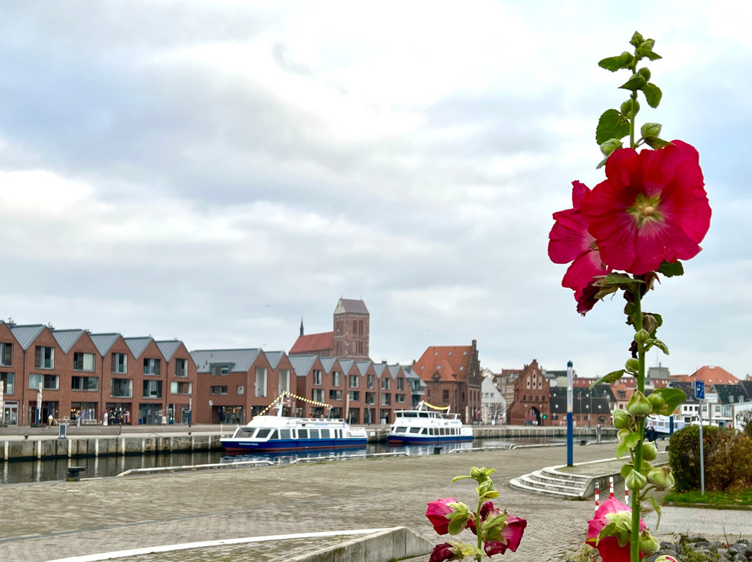 Hotel Am Alten Hafen主图