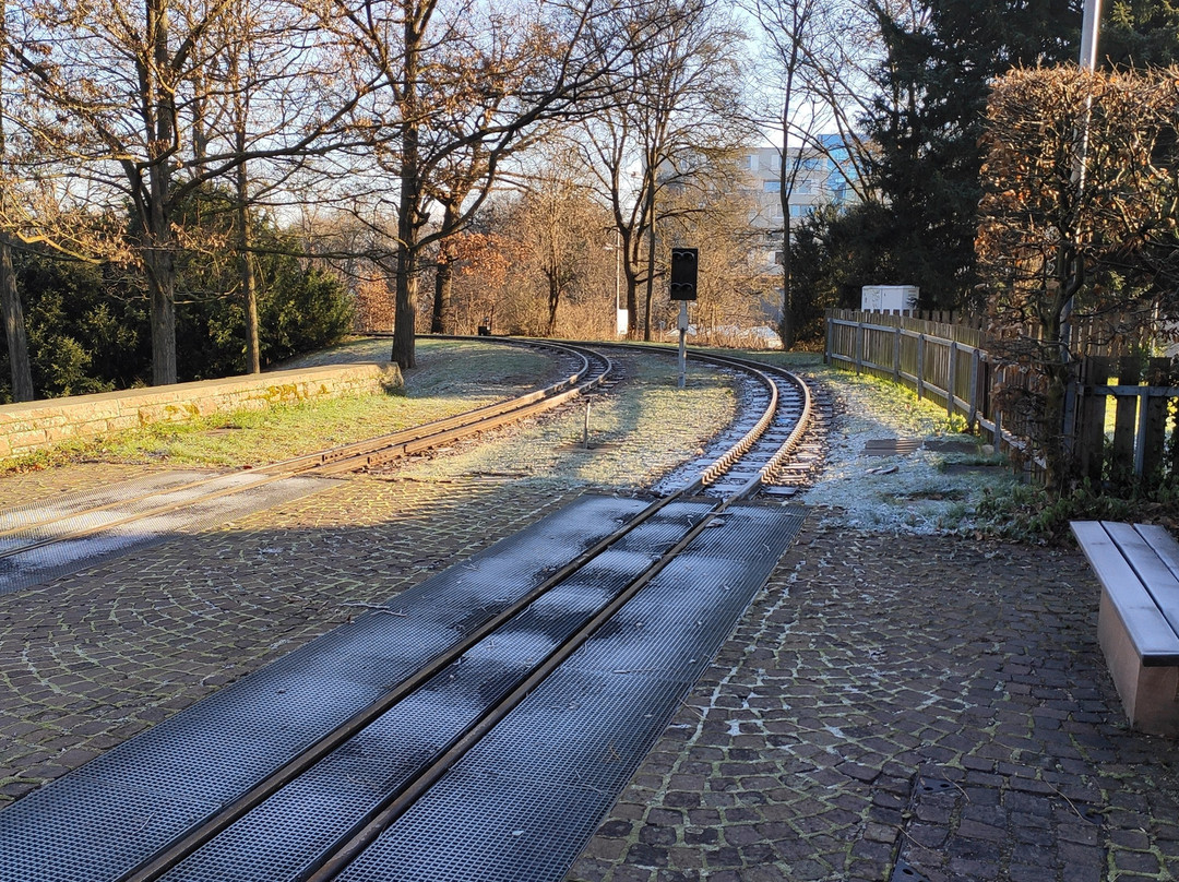 Killesberg公园-斯图加特必去景点