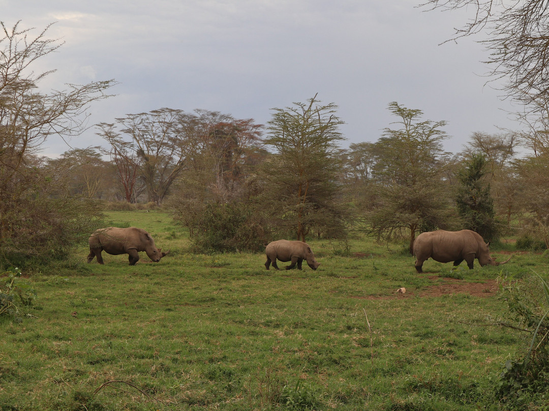 RA Safaris-阿鲁沙必去景点