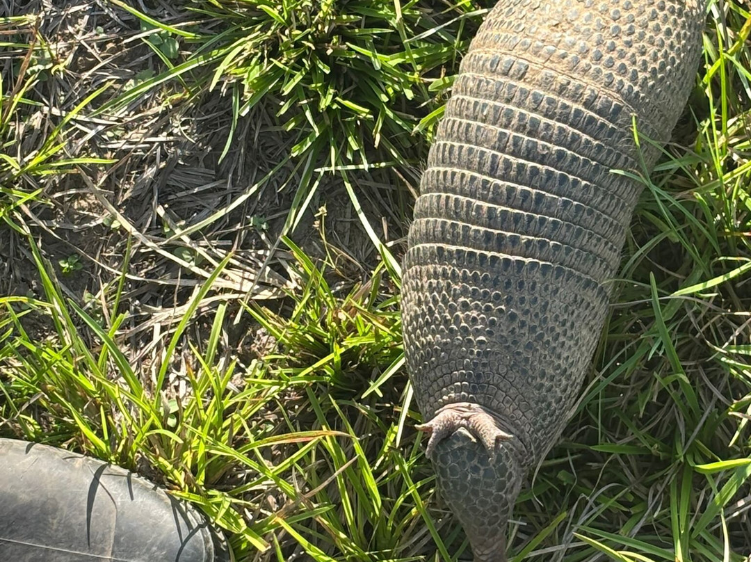 Cunaguaro Travel-Yopal必去景点