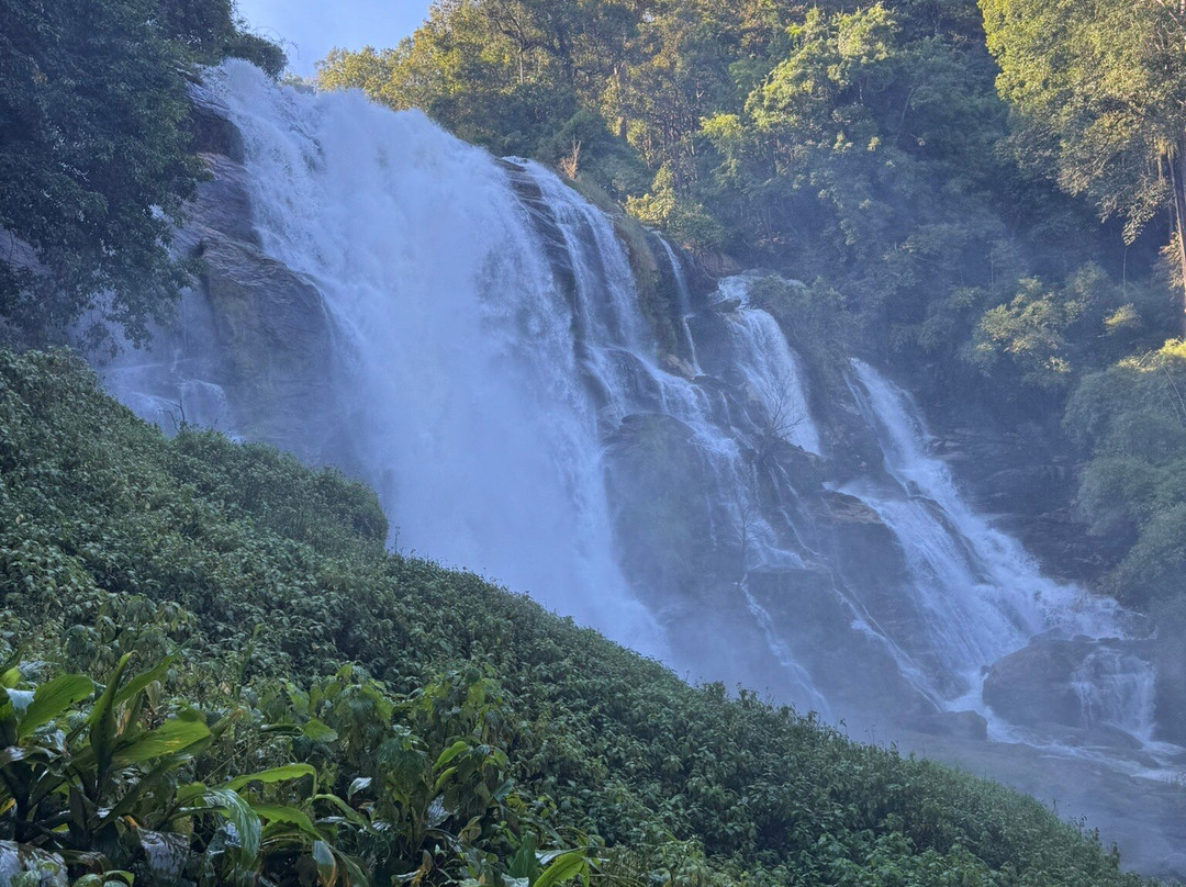 Pon Elephant Thailand-清迈必去景点