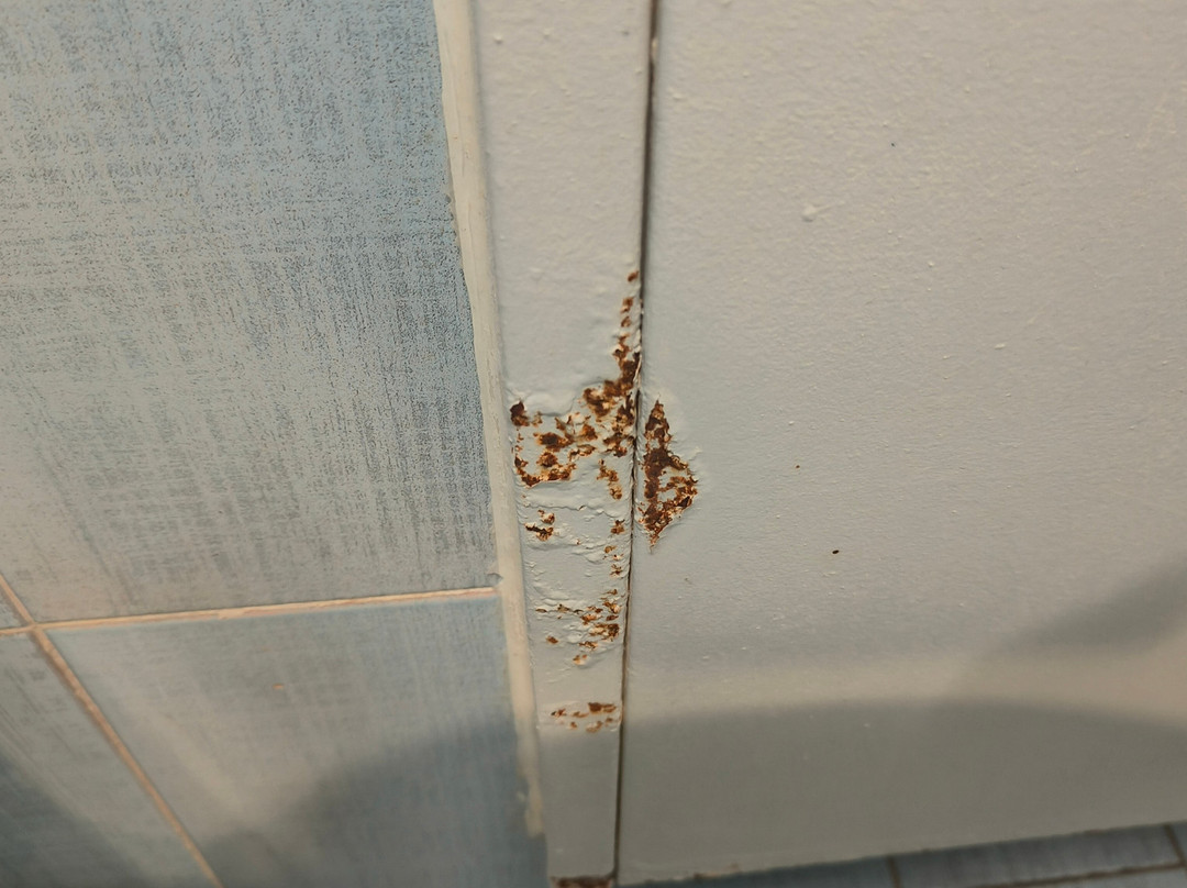 Hotel Tuscolano主图