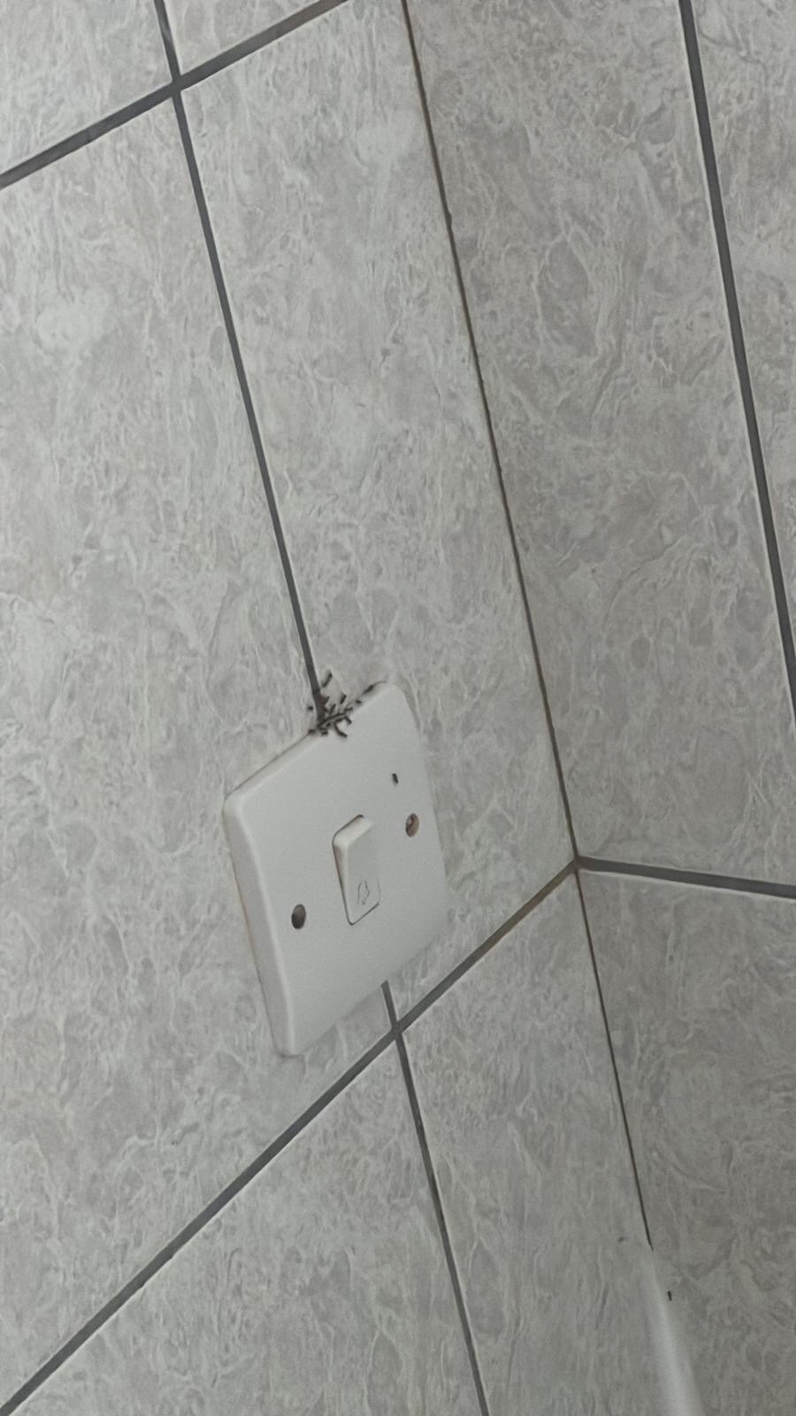 Hylatio Tourist Village-官方