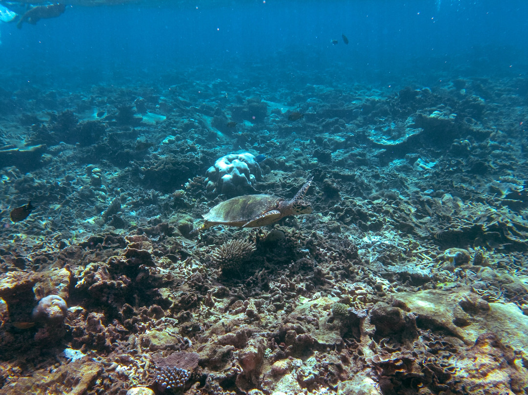 Addu Travel and Tours-Meedhoo必去景点