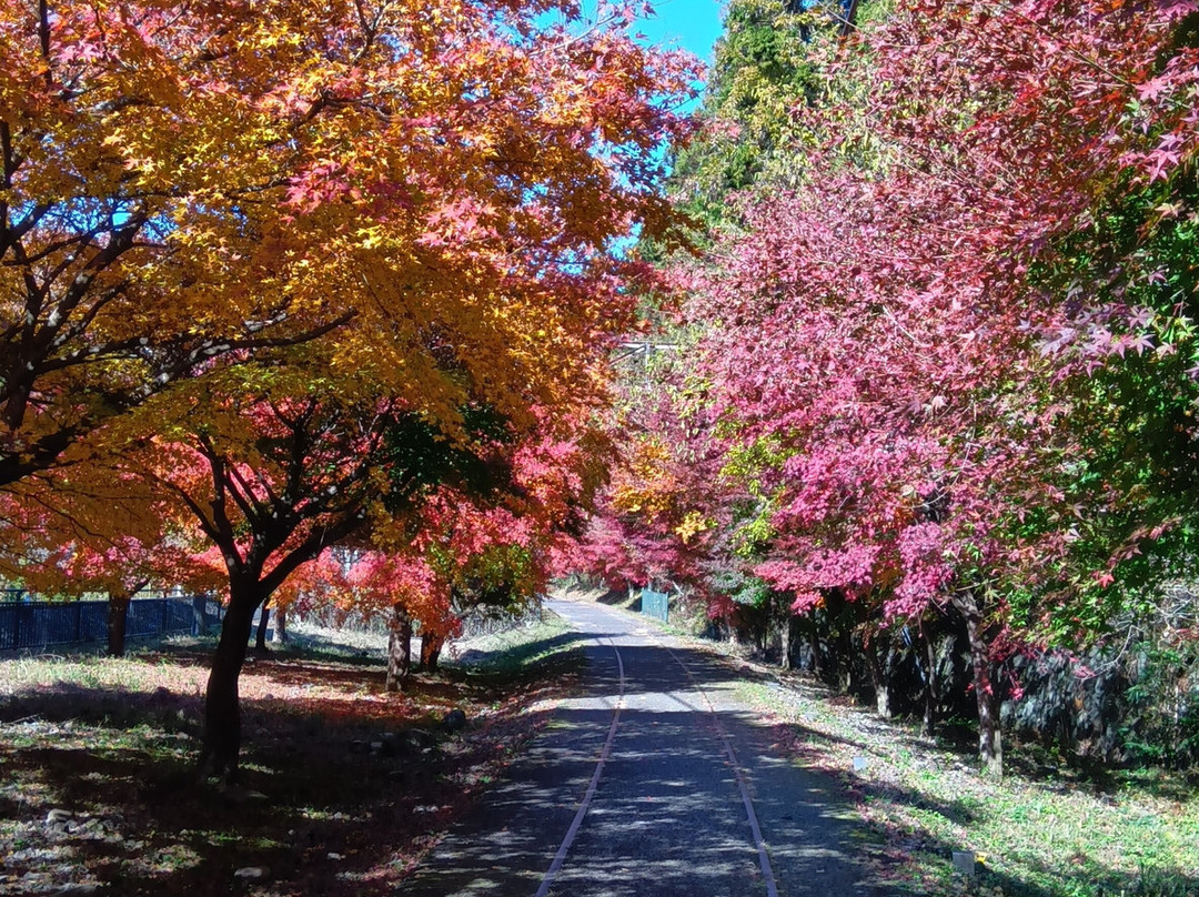 Apt Street-安中市必去景点