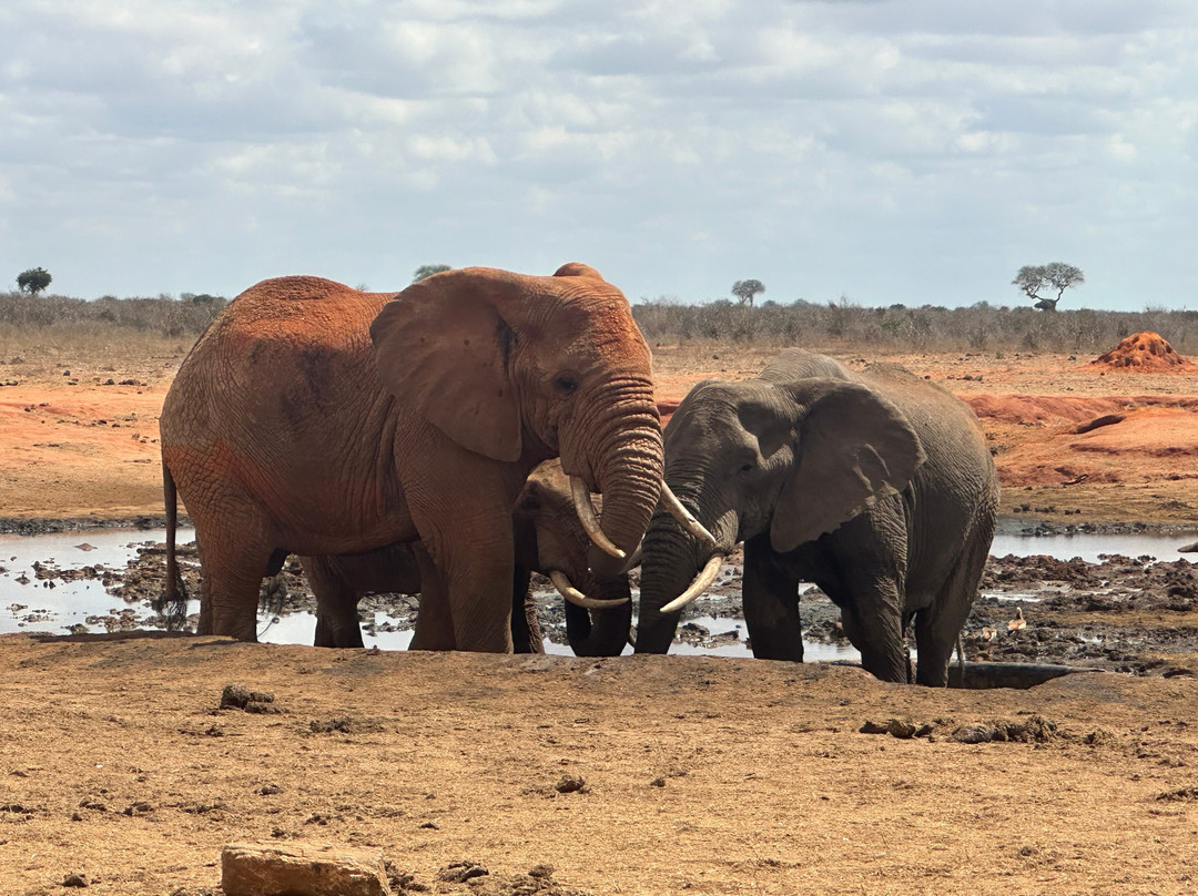Northern Wild Hunters-班布里必去景点