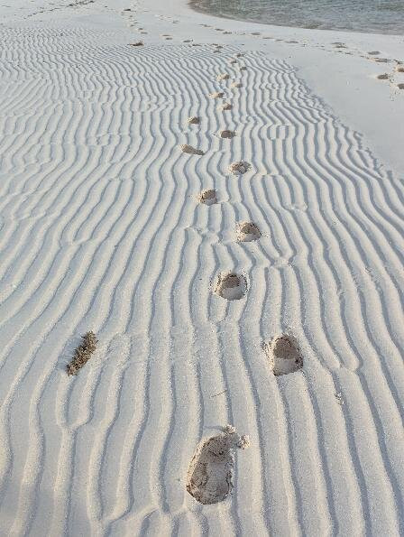 Navigare Yachting-Marsh Harbour必去景点