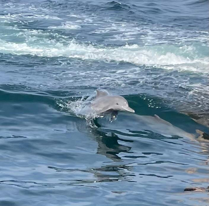 Khasab Sands Tours-海塞卜必去景点