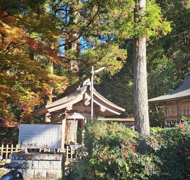 Ebisuya Yufuin-由布市必去景点