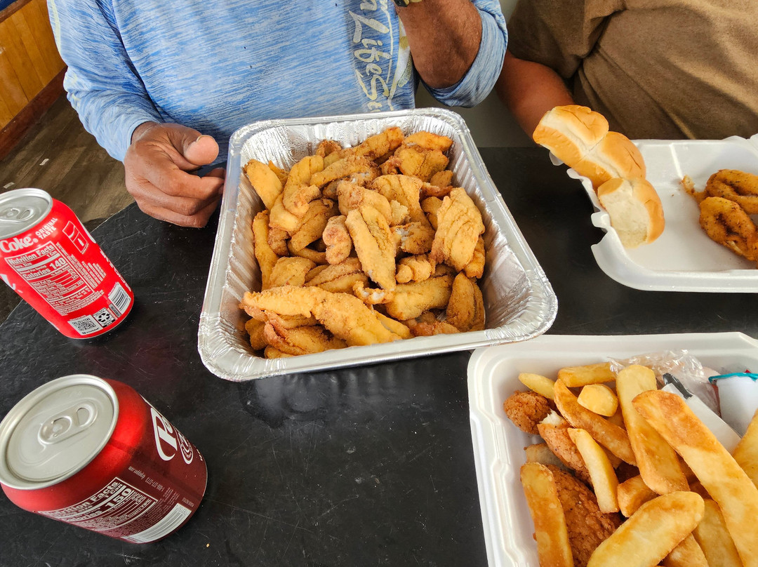 Dolphin Docks-Port Isabel必去景点