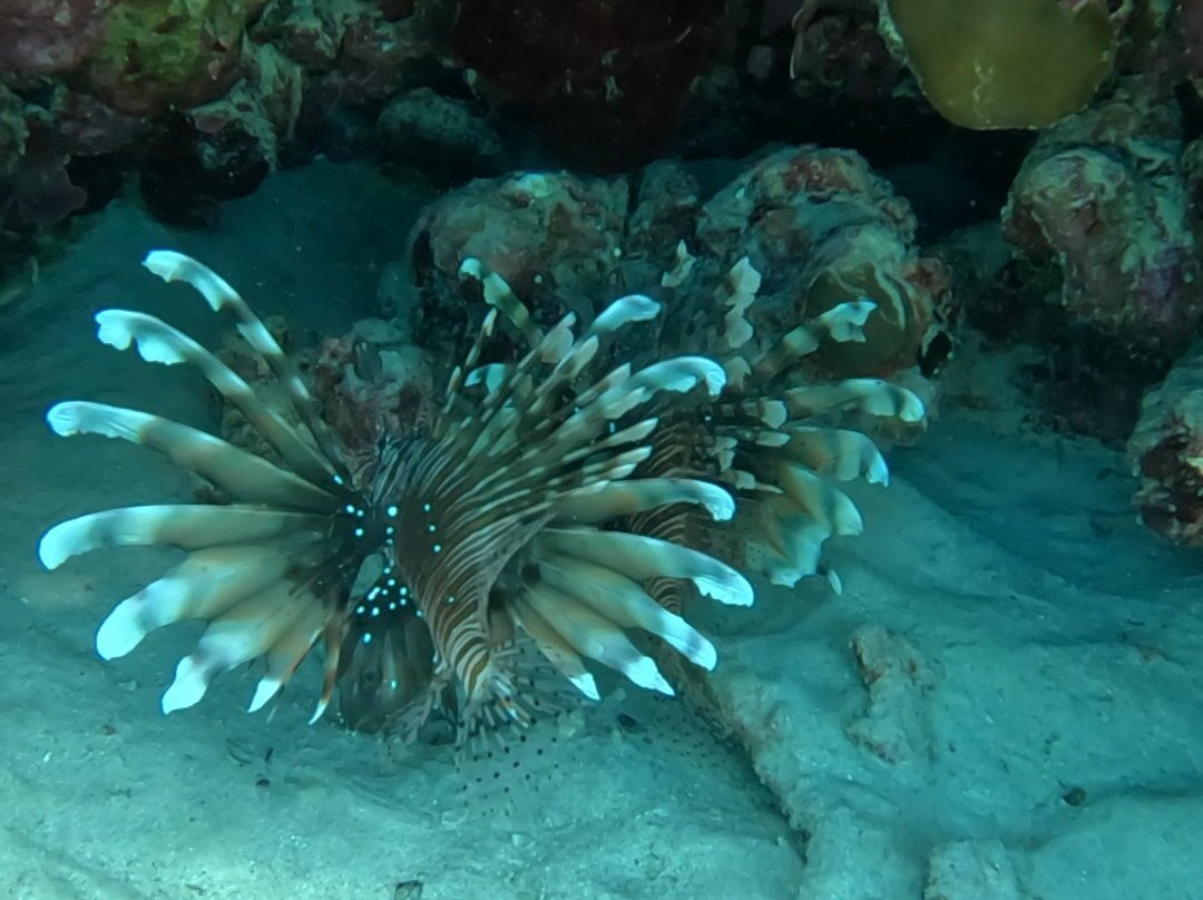 Erlebnis Ägypten-Safaga必去景点