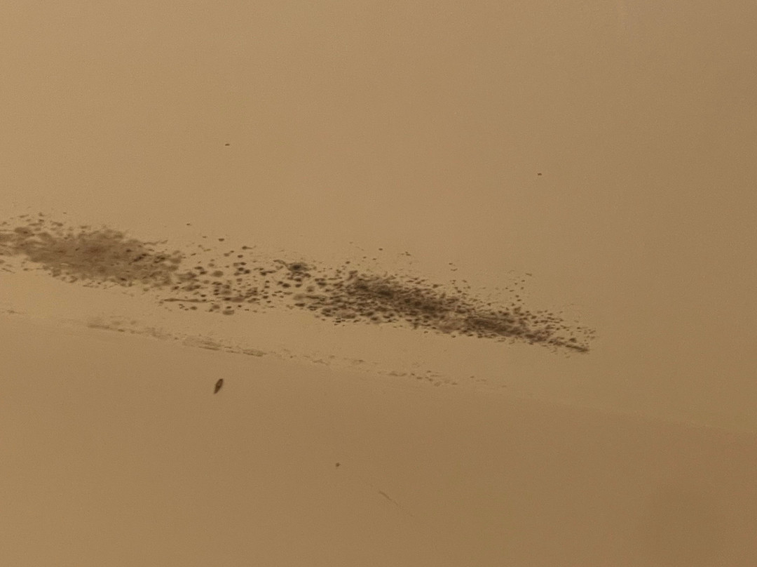 普瑞米尔哈洛酒店主图