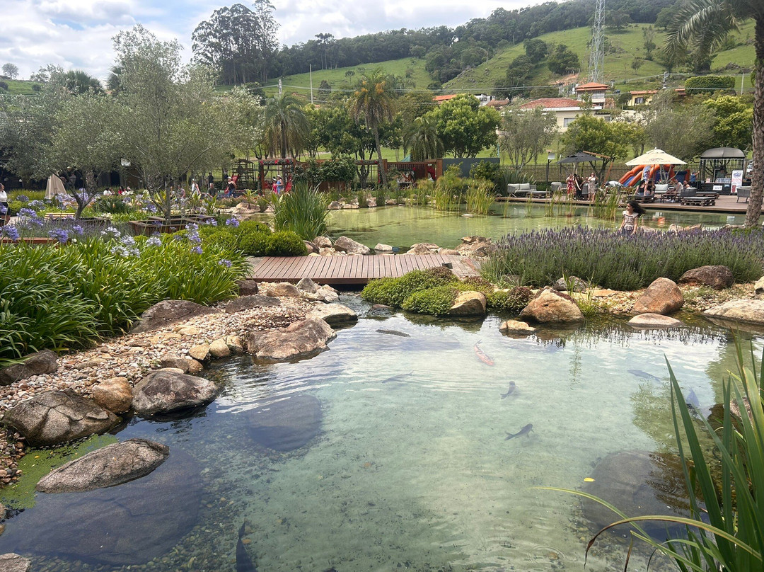 Vinicola Goes-Sao Roque必去景点