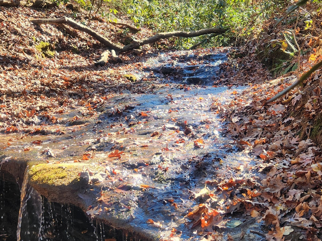 Bakers Mountain Park-希科里必去景点