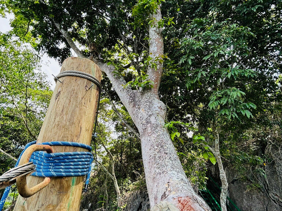 Zip Fiji-纳迪市必去景点