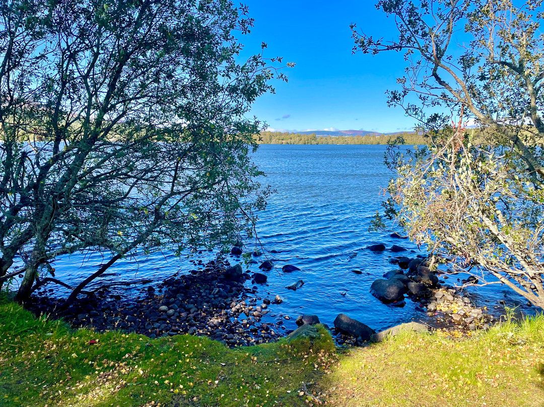 Muir of Dinnet National Nature Reserve-Dinnet必去景点