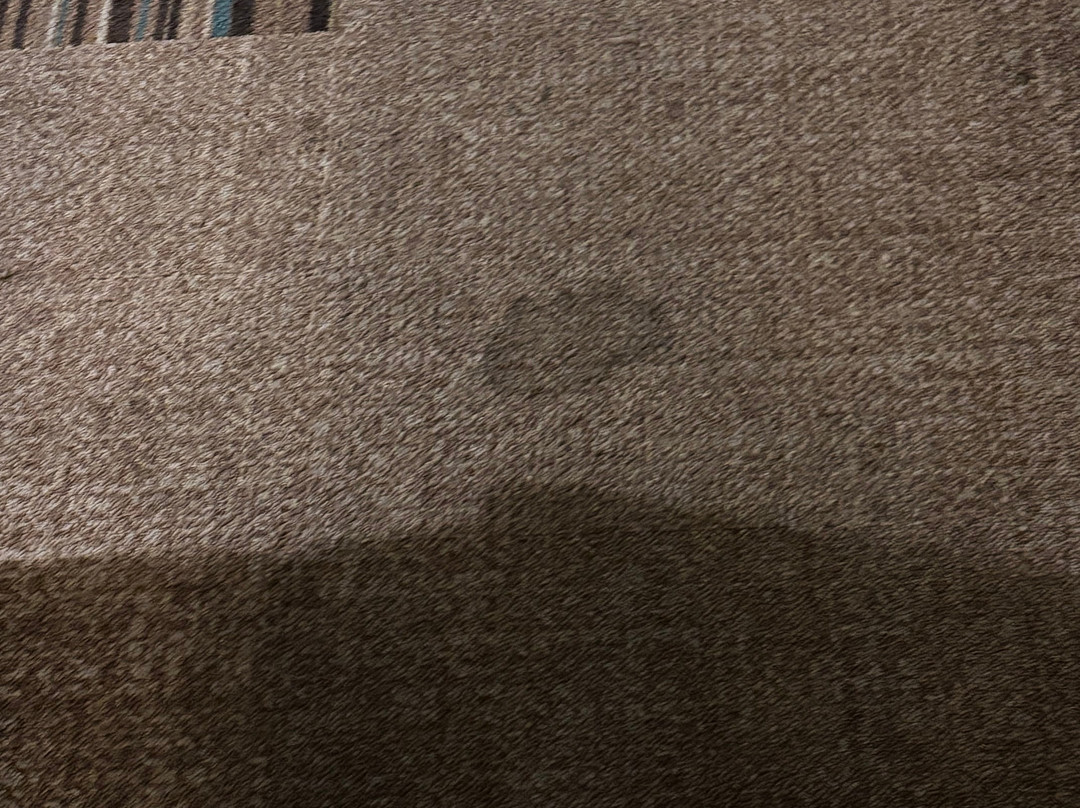 Home2 Suites by Hilton Bowling Green主图