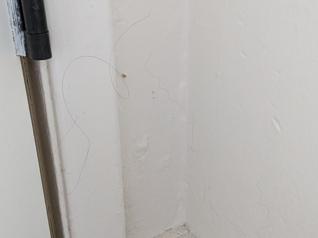 草地鹨酒店主图