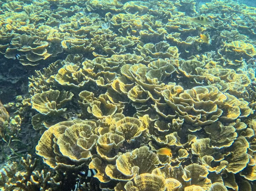 娜鲁萱岛度假村主图