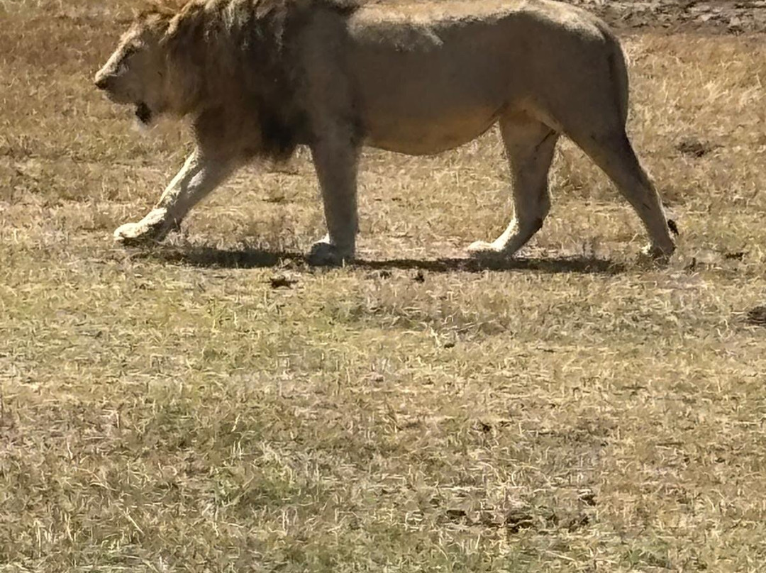 Exotic Wilderness-Seronera必去景点