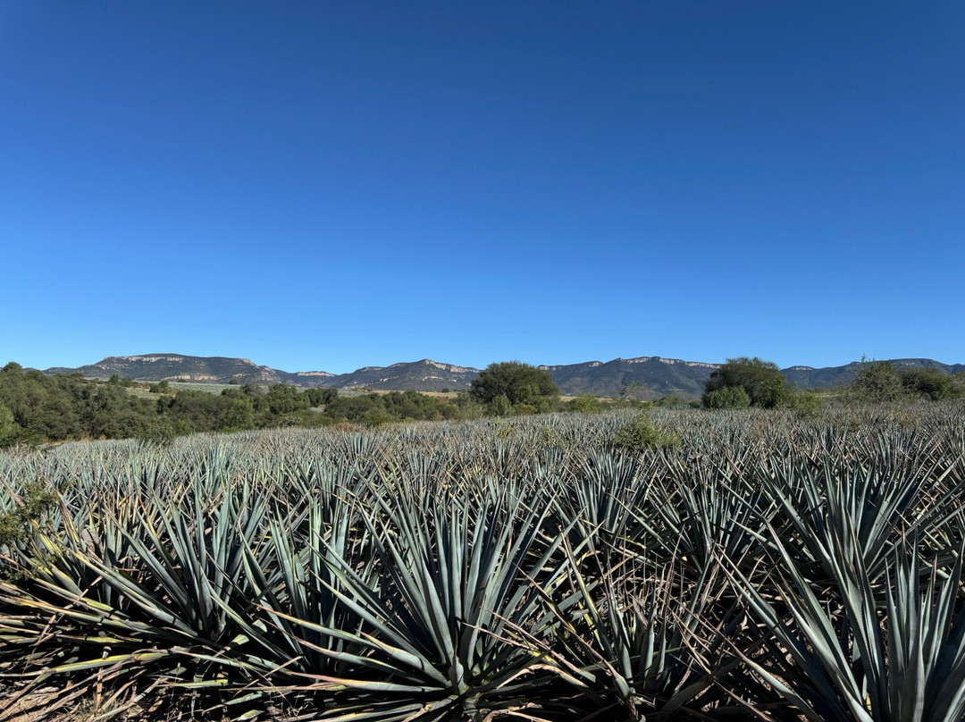Cabalgatas Las Haciendas Horseback Adventures-Lagos de Moreno必去景点