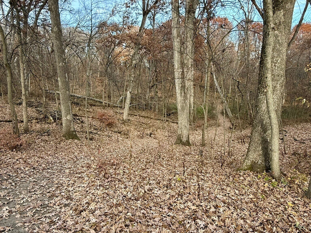 Indian Creek Nature Center-锡达拉皮兹必去景点