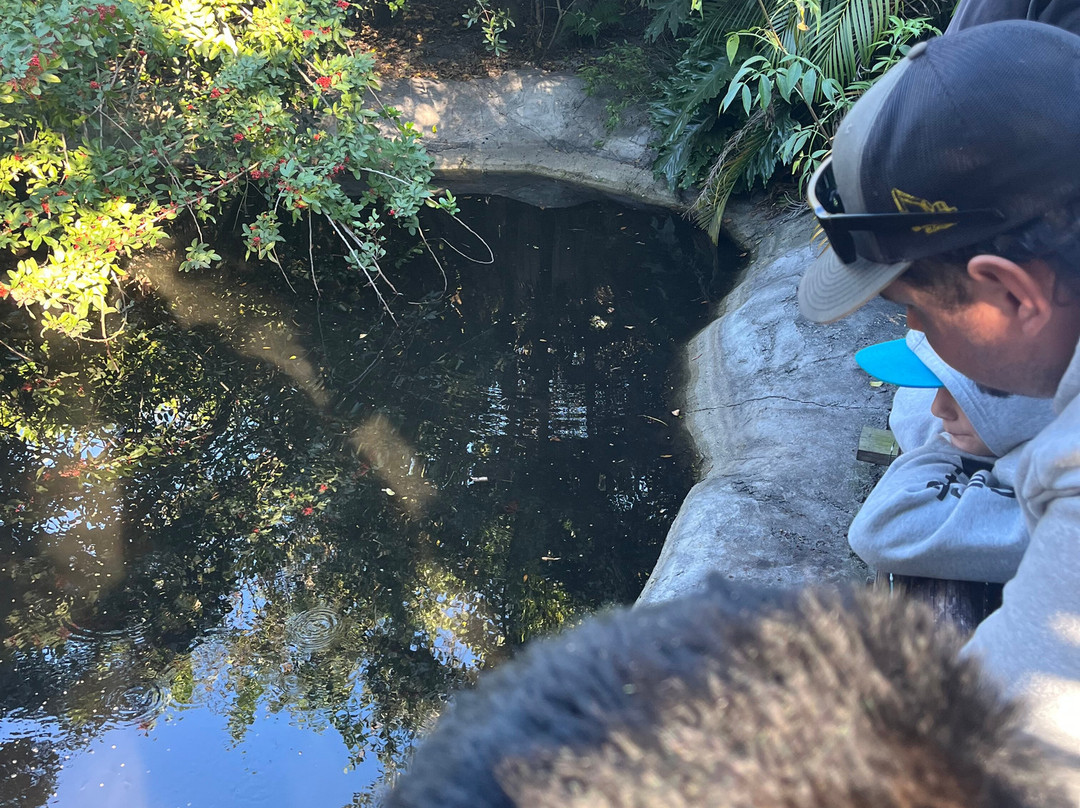 Croc Encounters-坦帕必去景点