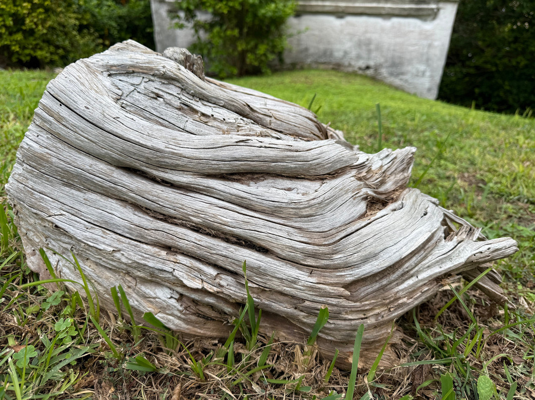 Verdmont Museum-Smith's Parish必去景点