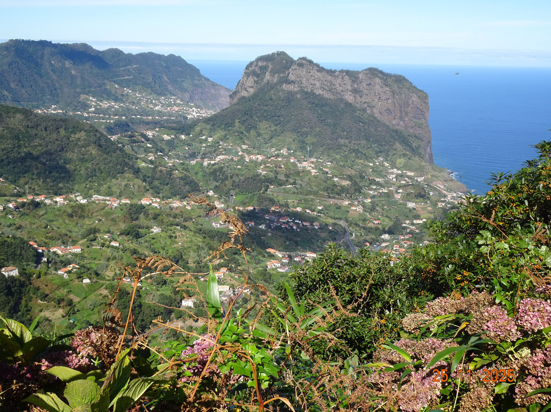ViveMadeira-马德拉群岛必去景点