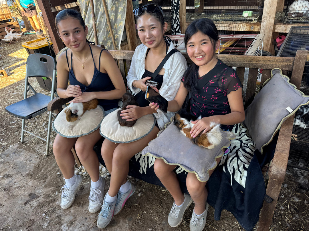 Maui Animal Farm-拉海纳必去景点