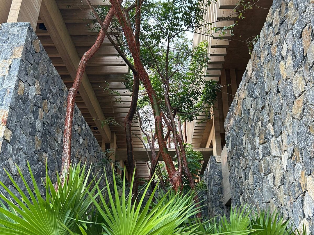 Four Seasons Resort Tamarindo主图