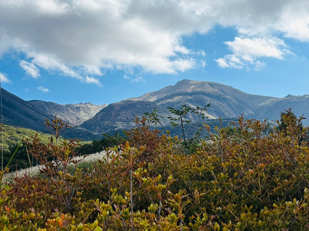 Tadewara Wetlands-九重町必去景点