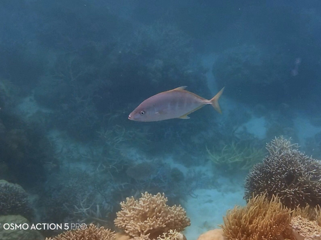 波长礁-道格拉斯港必去景点