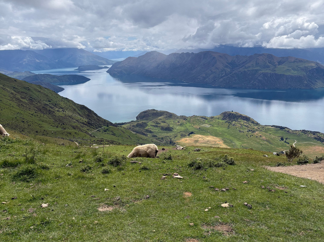 罗伊峰步行道-瓦纳卡必去景点
