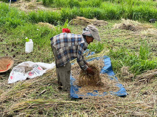 Bali excursies: Dana uw Nederlandstalige Bali gids-乌布必去景点