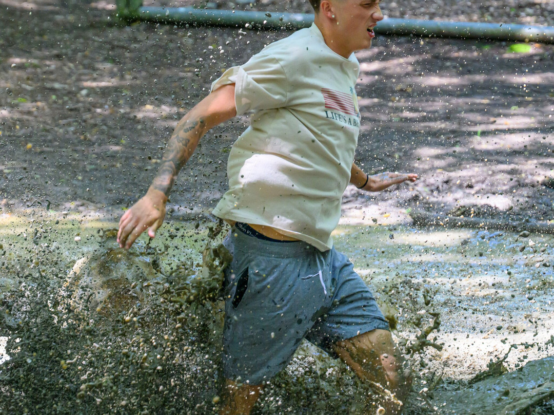 Nuclear Wild Forest-布伦特伍德必去景点