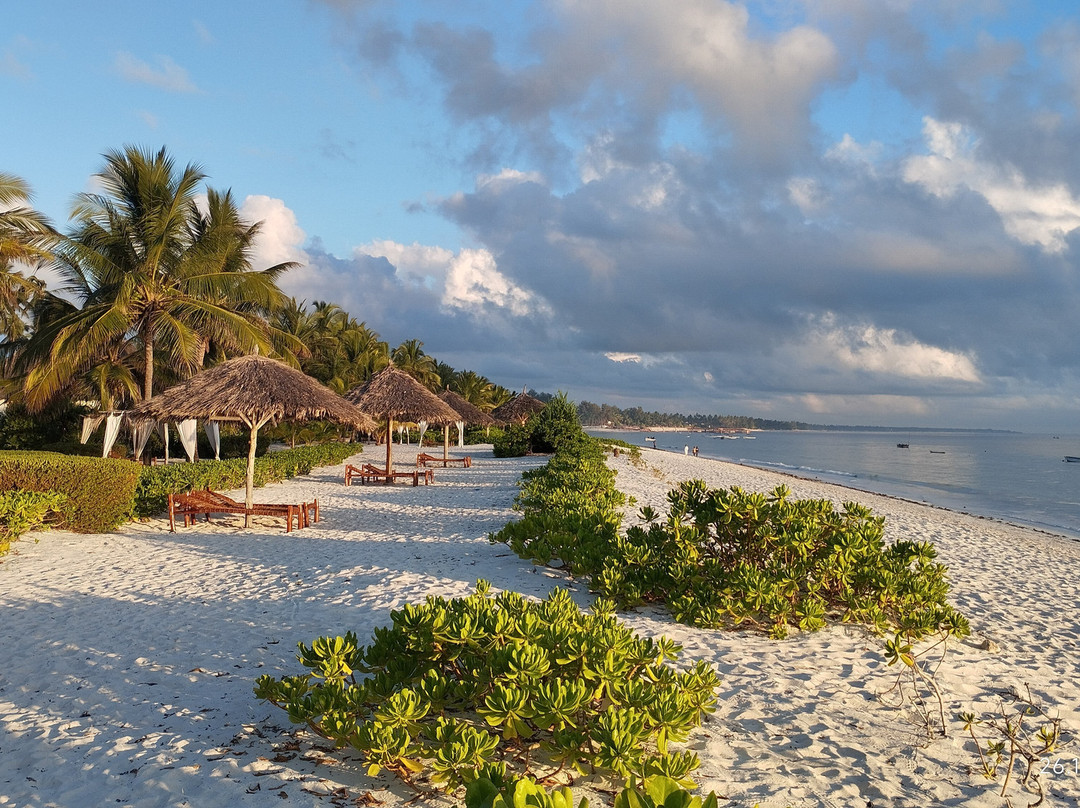 Tanzania Specialist-阿鲁沙必去景点