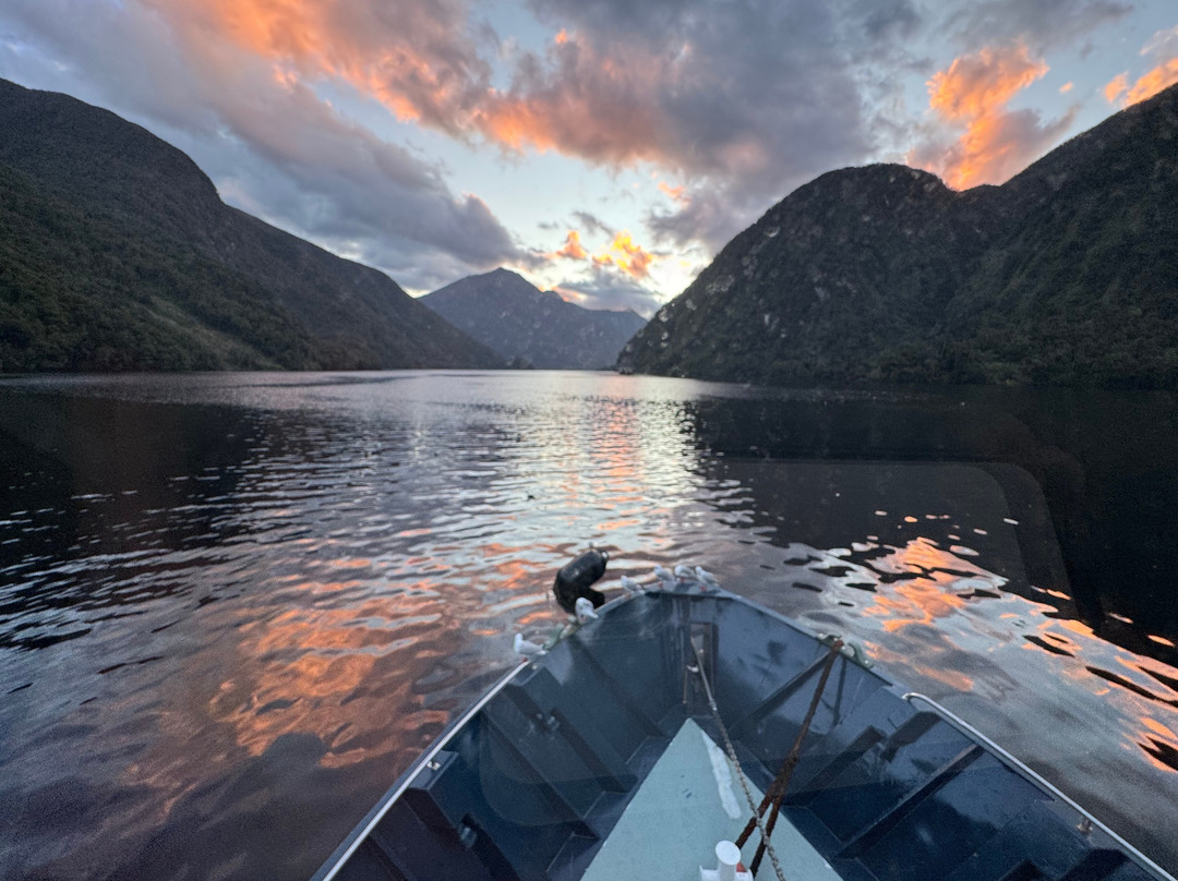 Fiordland Expeditions - Doubtful Sound Overnight Cruises & Multi Day Charters-马纳普里必去景点