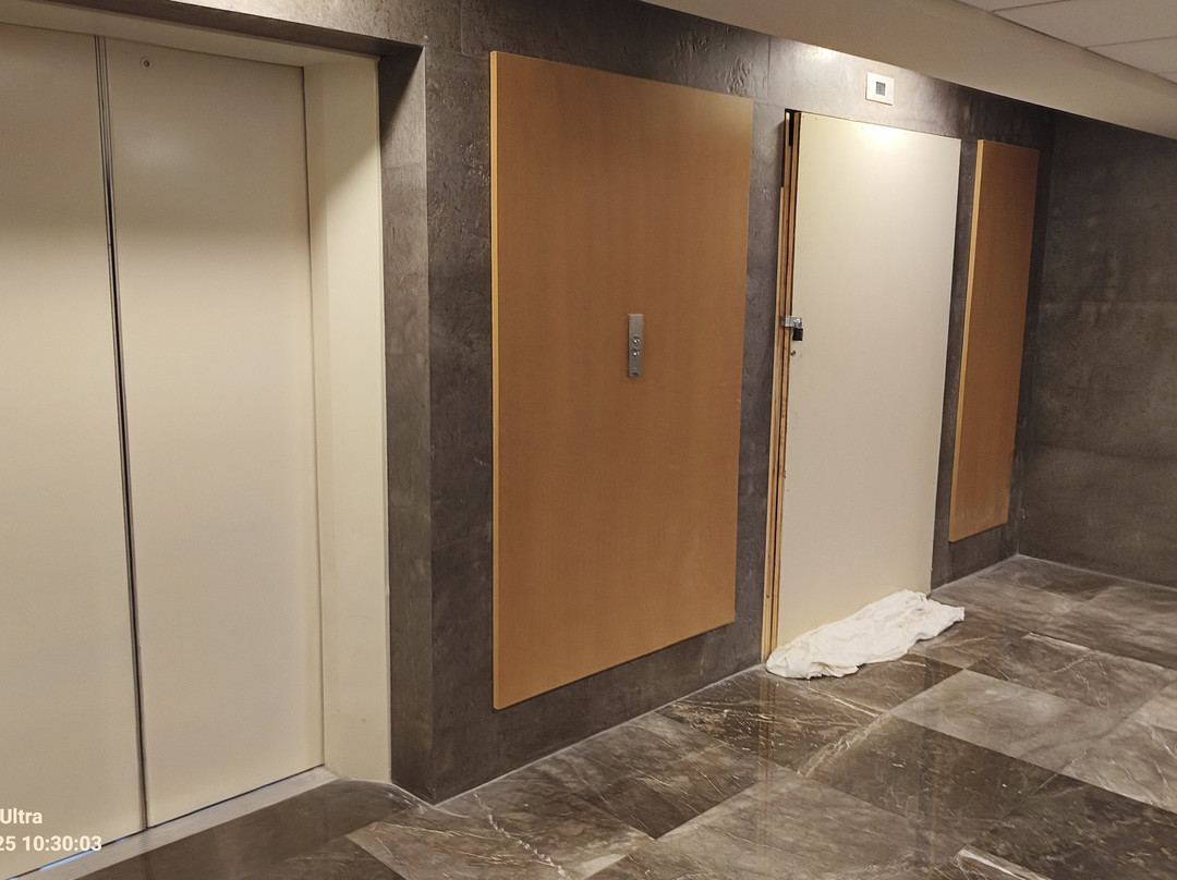 MS Milenium Monterrey, Curio Collection by Hilton主图