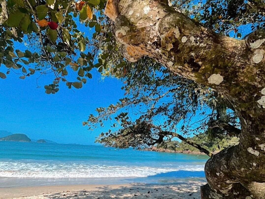 Felix Beach-乌巴图巴必去景点